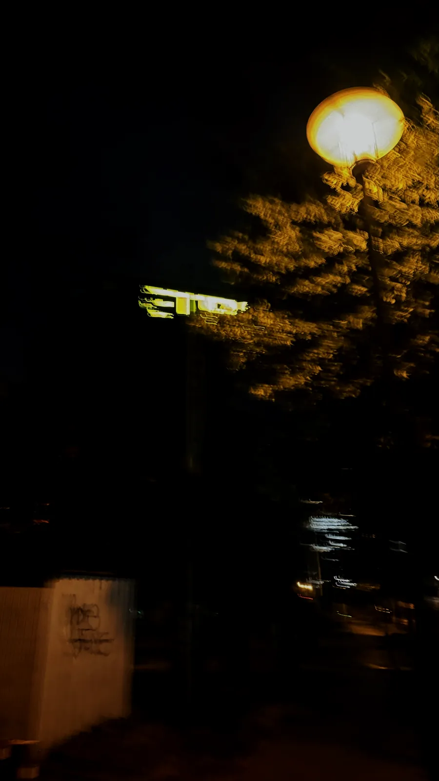A streetlamp lighting a tree at night, slightly blurred